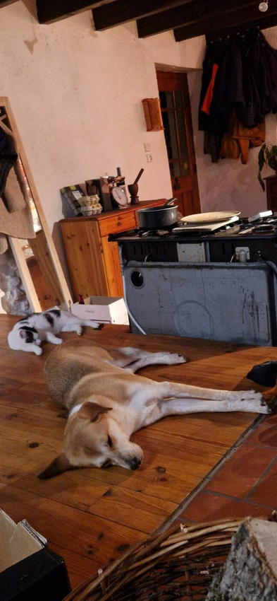 Poupi & Stormy