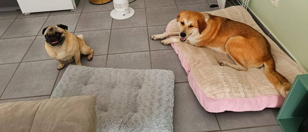 Olympe & Stormy